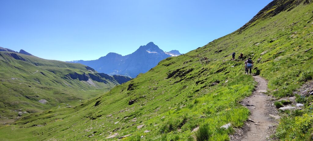 Eiger Ultra Trail E51 2023