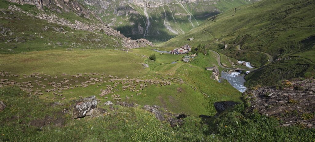 Odlo High Trail Vanoise - Les Balcons de Val - 2024