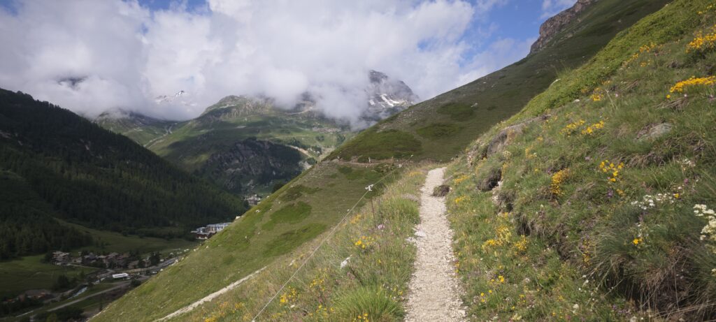 Odlo High Trail Vanoise - Les Balcons de Val - 2024