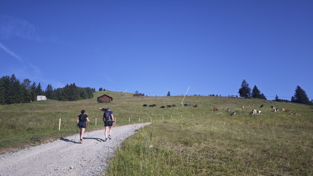 Reco UTMB : montée du col de Voza