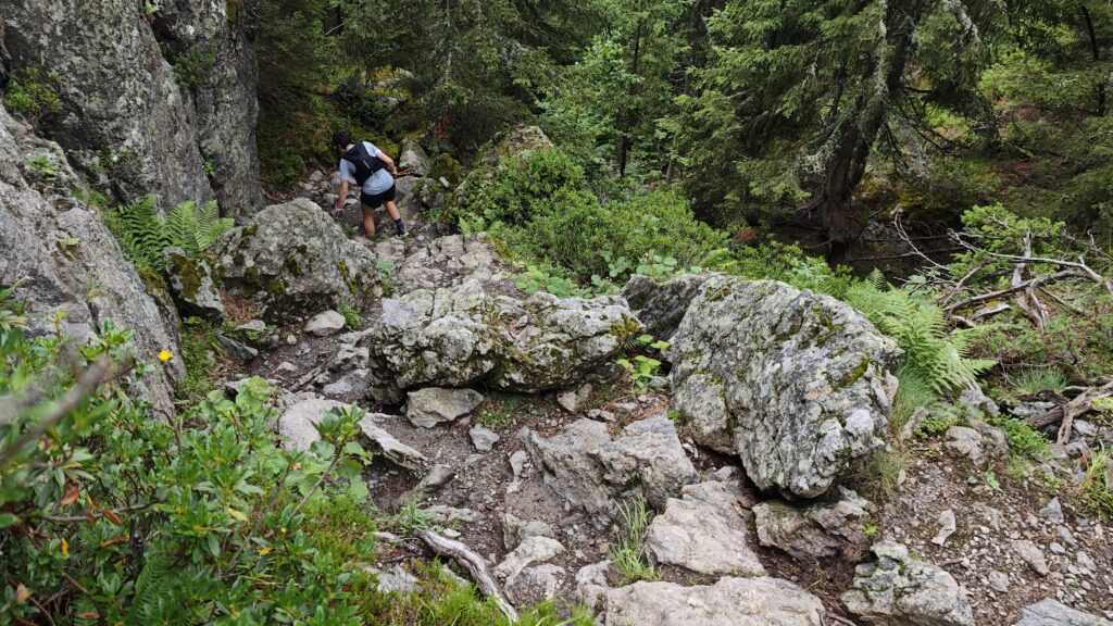 Reco UTMB : le chantier du sentier des Gardes