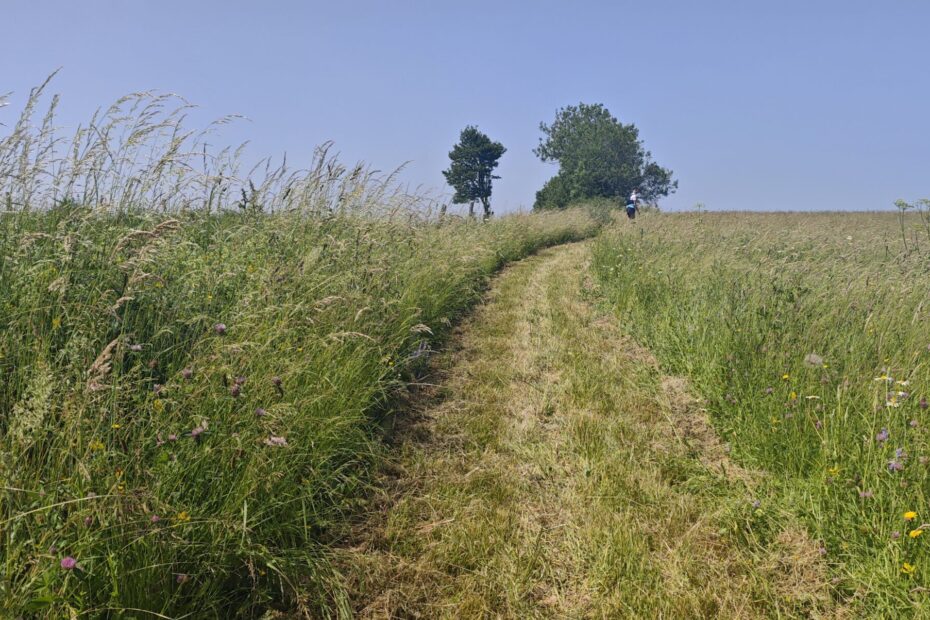 UTPMA 2025 : Trail de la Jordanne