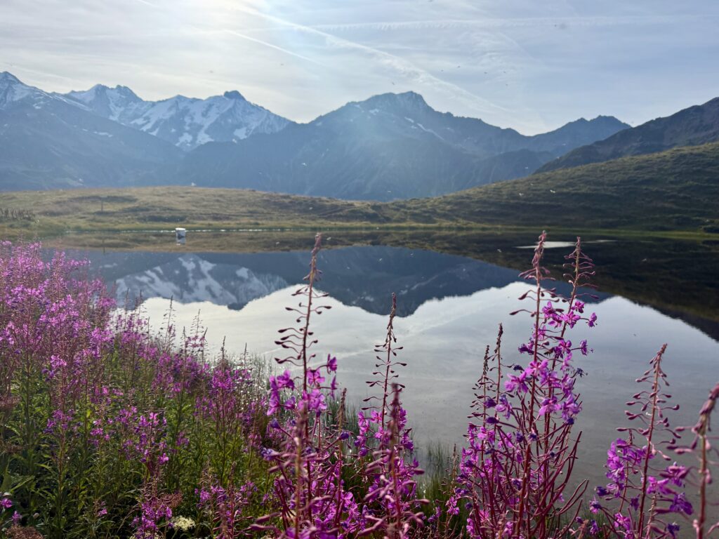 lac